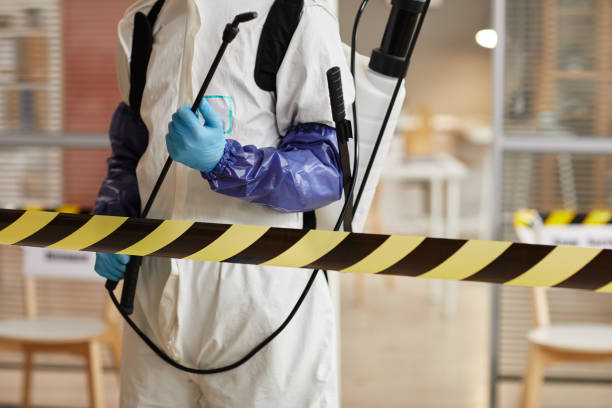 Professional Sewage Cleanup technician working in Maineville, OH